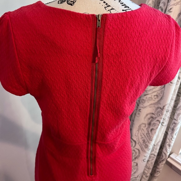 Maeve Red Tulip Hem Knit Dress Size Medium with Exposed Back Zip Up Size Med - Picture 5 of 13